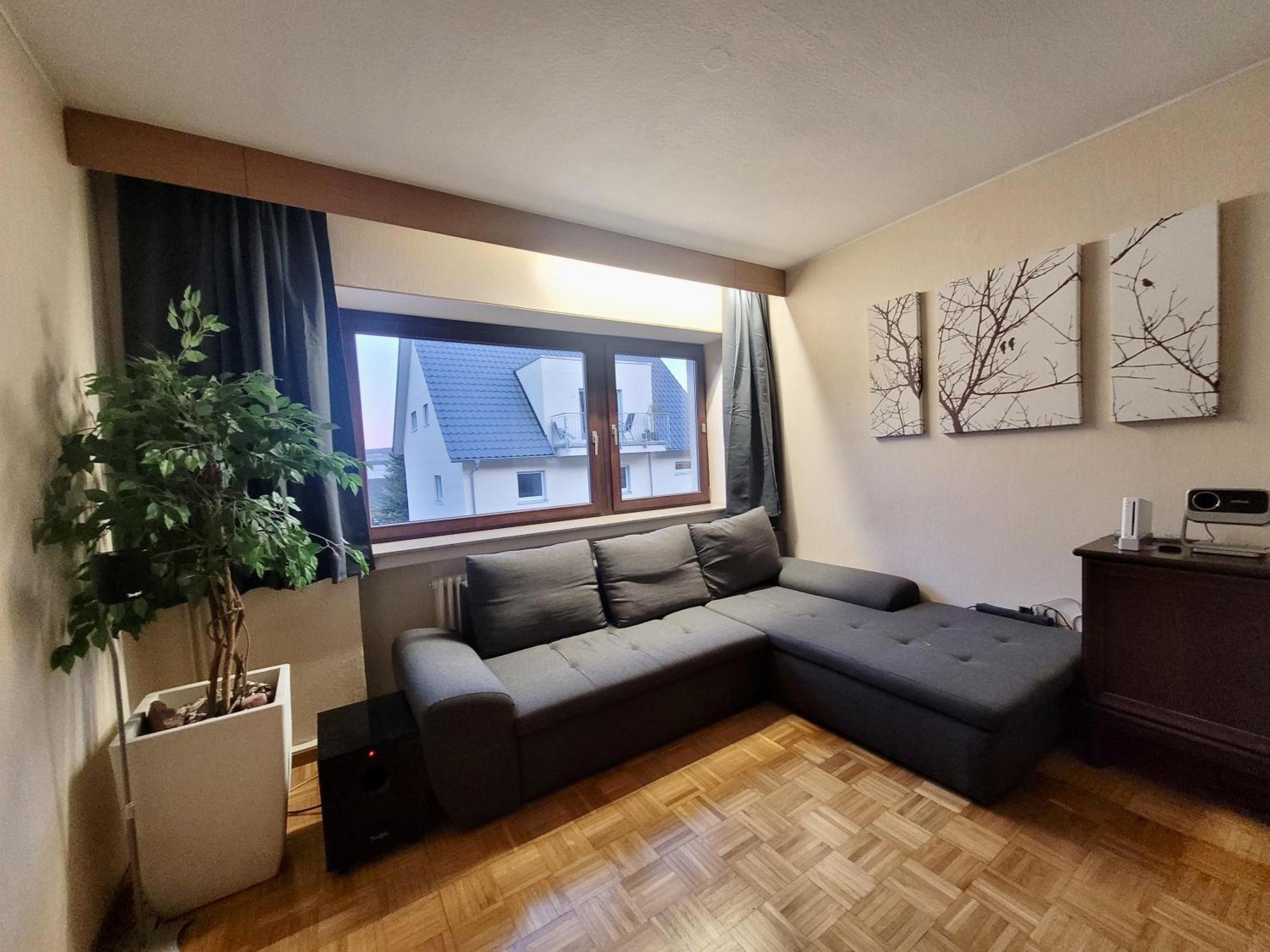 10 Min Zur Altstadt, Scheunen Ferienwohnung, Sternenhimmel Im Wintergarten Mit Grill, Lift Und Kino Trier